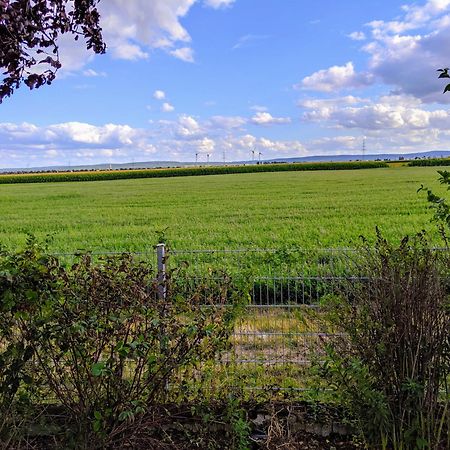 Grosse Schoenheit Mit Panoramablick Euskirchen Luaran gambar
